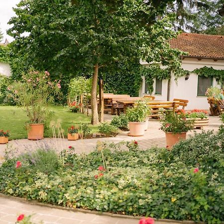 Hotel-Restaurant-Vinothek Felix Sommer Auersthal 外观 照片